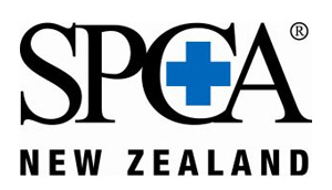 Donate to SPCA